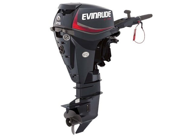 Best 2018 Evinrude E-TEC 25 HP E25DGTL Outboard Motor