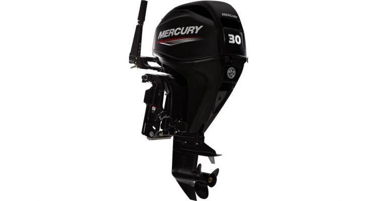 2022 Mercury FourStroke 30 HP EFI 526cc L3 15" Shaft